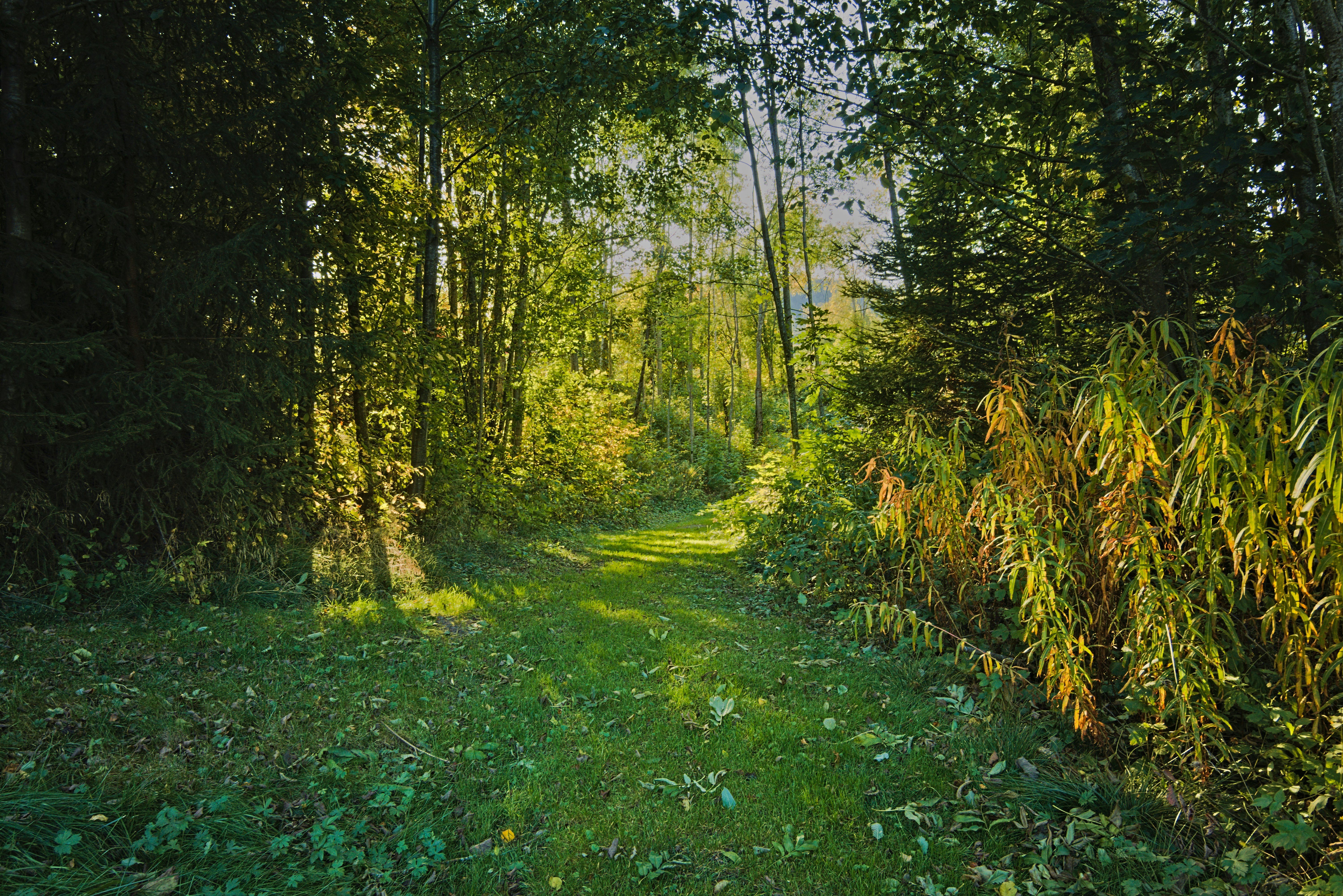 Violet Mama - Natural family living with mom and child in nature